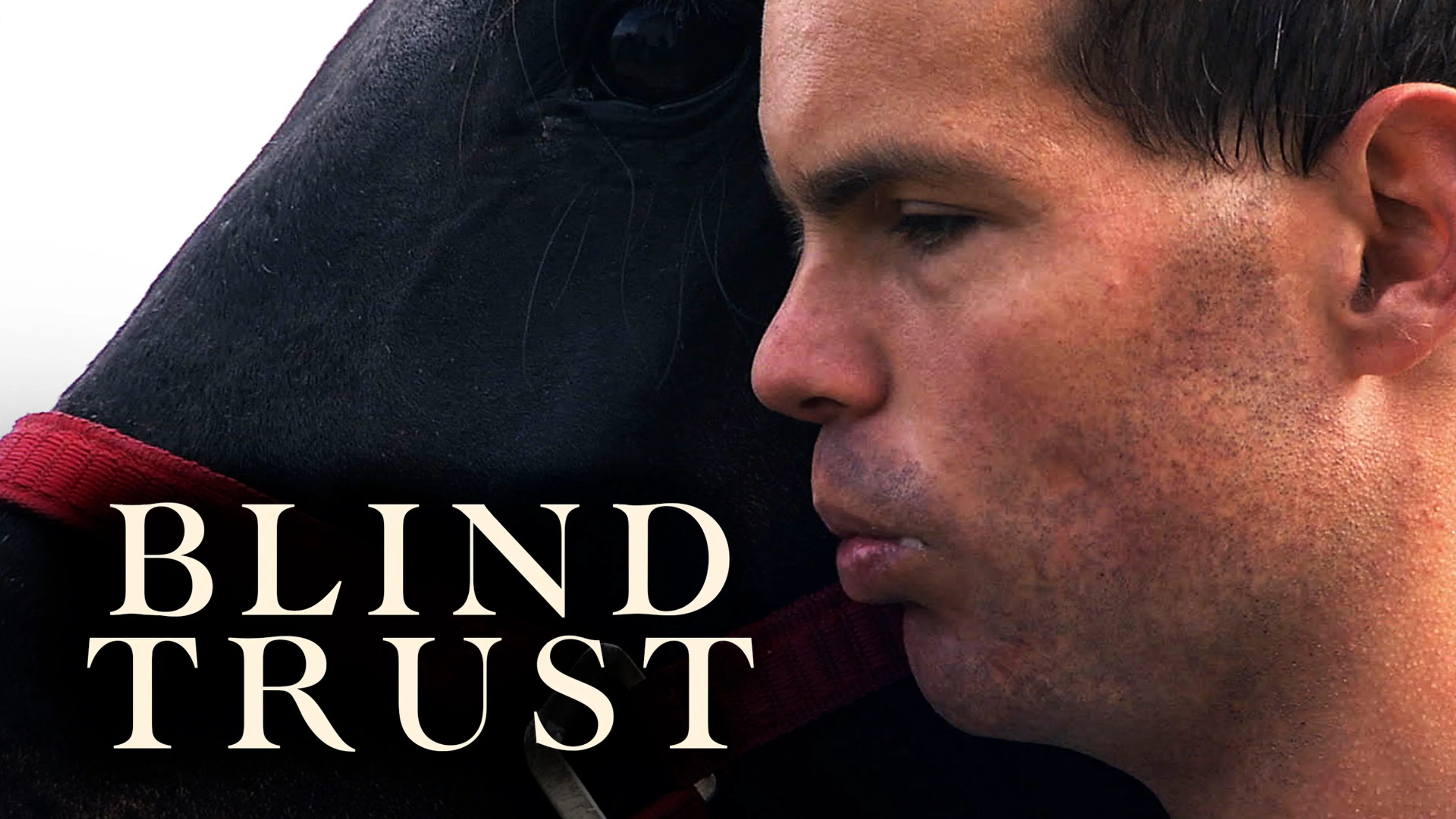 Blind Trust poster